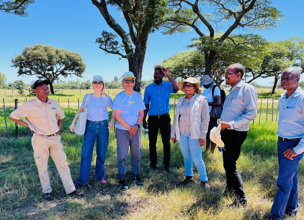 Fortalecimento do Setor da Pecuária de Corte 1.jpg