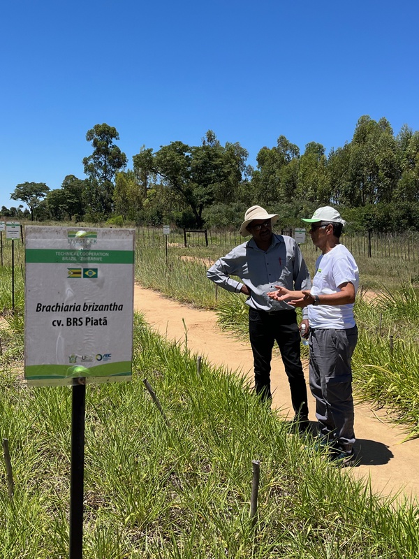 Fortalecimento do Setor da Pecuária de Corte 2.jpg