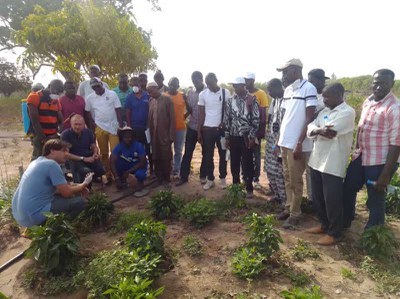 Cooperação com o Brasil torna Produção Agroecológica uma realidade no Senegal 4.JPEG