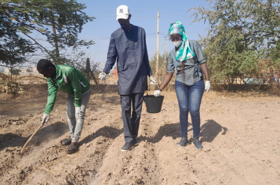 Cooperação no Senegal: sustentabilidade e inovação no cultivo do algodão