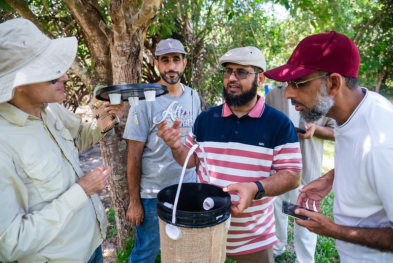 Cooperação: pesquisadores de Omã conhecem controle de pragas agrícolas no Brasil