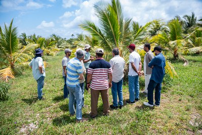 Cooperação: pesquisadores de Omã conhecem controle de pragas agrícolas no Brasil