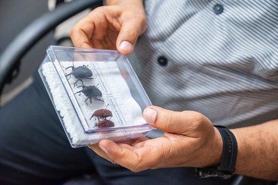 Cooperação: pesquisadores de Omã conhecem controle de pragas agrícolas no Brasil