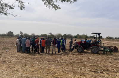 Cooperação Sul-Sul fortalece cadeia do algodão e agricultura familiar no Cameroun