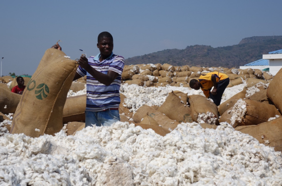 Cooperação Técnica Brasil–Moçambique: 45 anos de uma parceria estruturante para o desenvolvimento