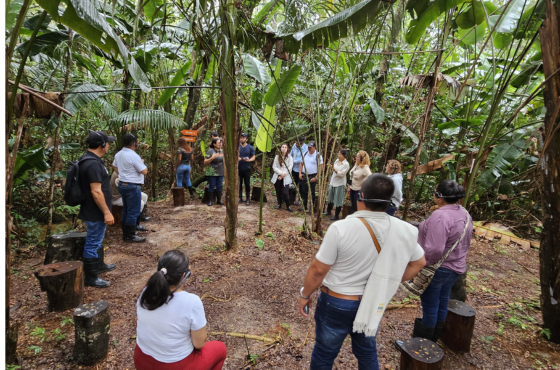 Cooperação trilateral impulsiona inovação e sustentabilidade na Amazônia
