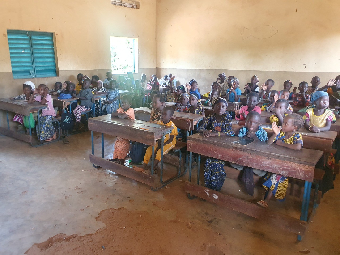 Cotton Solos tecnologia brasileira melhora a fertilidade dos solos no Mali