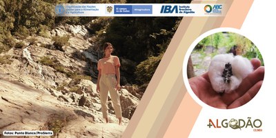 Da montanha para a moda.JPEG