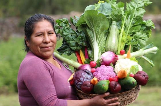 ©WFP/Cristina Arakaki