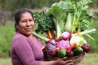 Na oportunidade, o projeto InovaSAN, da ABC, MDS e Centro de Excelência contra a Fome foi apresentado