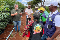 Delegação de Angola realiza missão especializada no Brasil para fortalecer cooperação em agricultura familiar