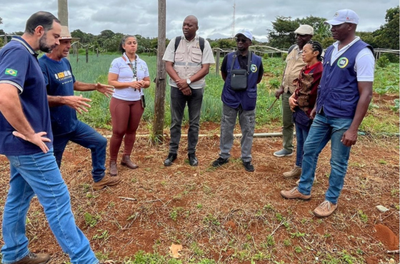 Visitas de campo e cadeias produtivas