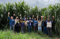 Delegação de Angola realiza missão especializada no Brasil para fortalecer cooperação em agricultura familiar