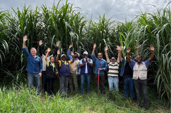 Visitas de campo e cadeias produtivas