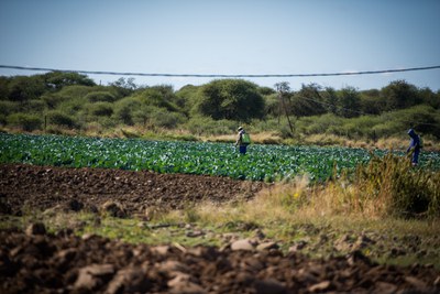 Desenvolvimento do Cooperativismo Rural em Botsuana 4.JPEG