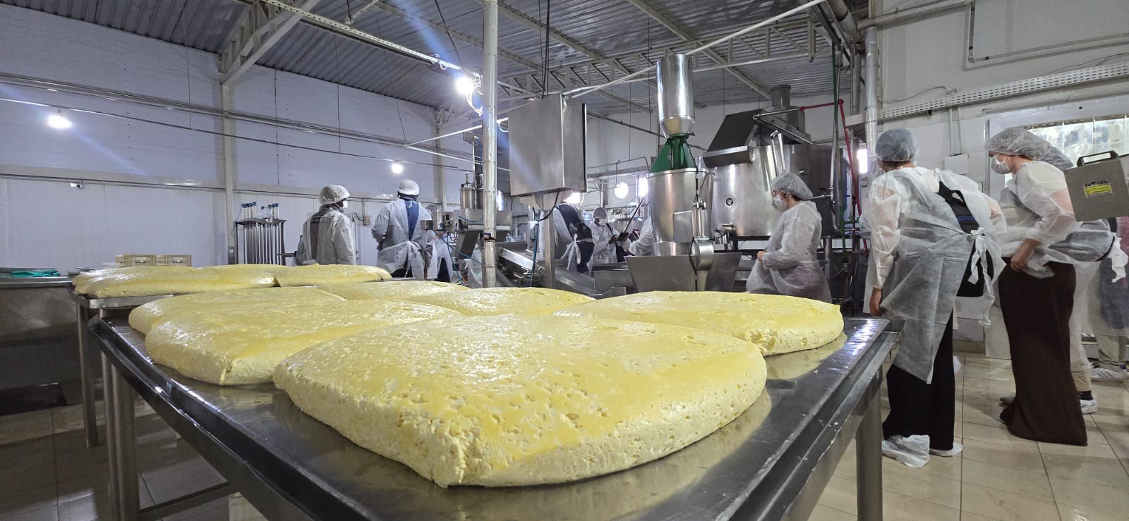 WhatsApp Image 2025-05-23 at 06.57.17.jpeg