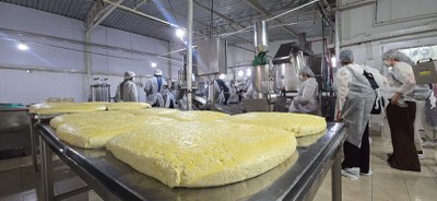 WhatsApp Image 2025-05-23 at 06.57.17.jpeg