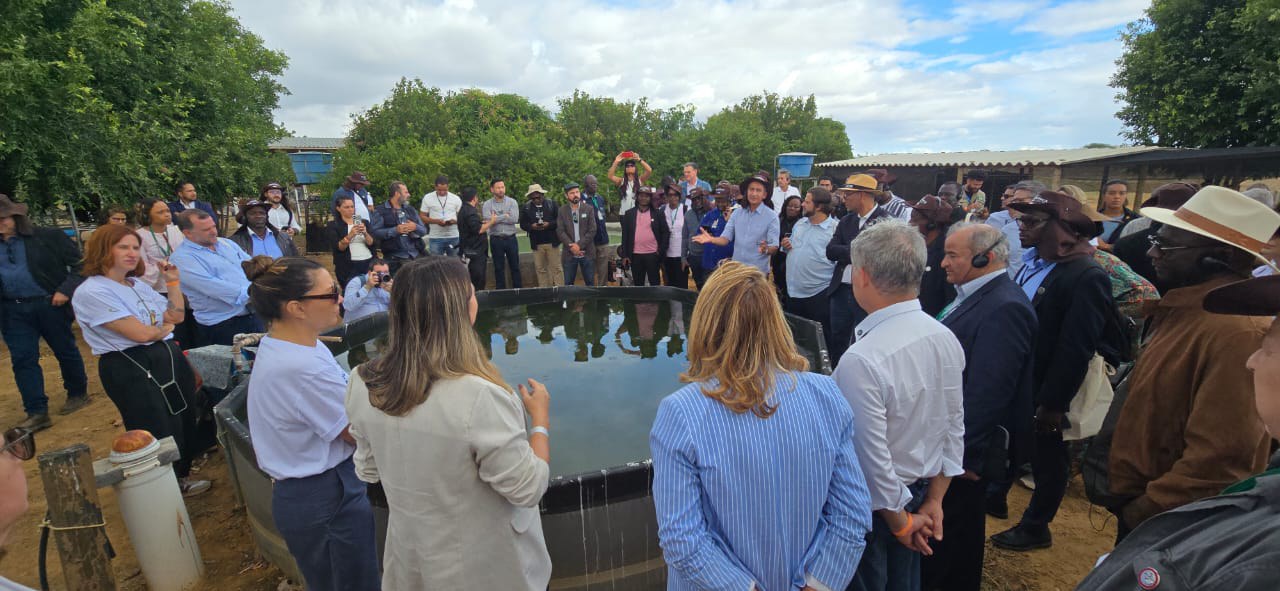 WhatsApp Image 2025-05-23 at 06.57.21.jpeg