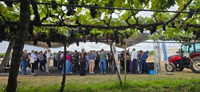 WhatsApp Image 2025-05-23 at 06.57.22.jpeg