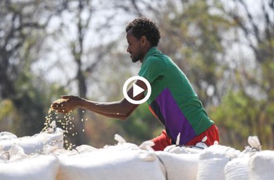 Documentário mostra resultados do projeto Além do Algodão na Tanzânia