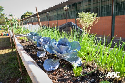 Educação saudável, intersetorialidade, controle social e compras da agricultura familiar para alimentação escolar 4.JPEG