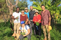 Equipe do Projeto Além do Algodão conhece agrofloresta experimental em Brasília