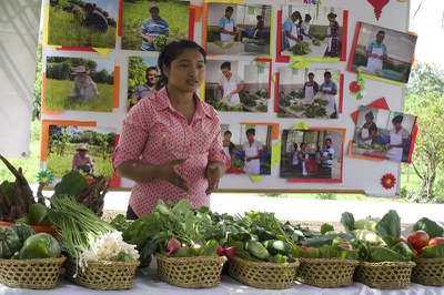Escolas Sustentáveis Promovendo Alimentação Saudável e Criando Oportunidades Rurais em El Salvador 1.JPEG