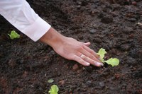 Especialistas do Brasil e da Colômbia trocam conhecimentos sobre agroecologia