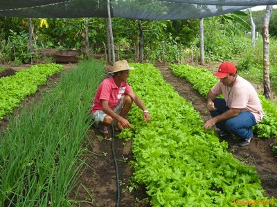 capacitação em hortas familiares.JPEG