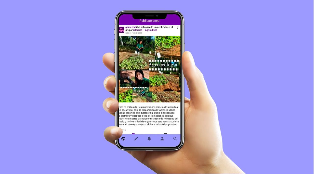 Estudantes paraguaios participam de desafio de agroecologia em aplicativo digital.JPEG