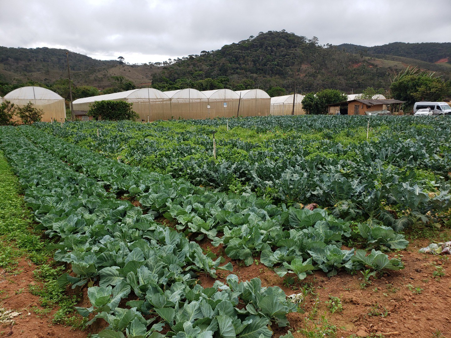 Etíopes vêm ao Brasil conhecer técnicas sobre manejo de solos ácidos (3).jpg