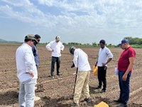 Etiópia: projeto ABC-AMIPA construirá unidade técnica demonstrativa destinada a realizar capacitações e testes sobre variedades de algodão