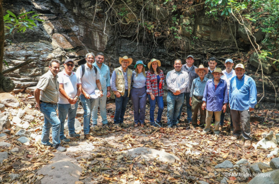 Zoneamento Agrícola de Risco Climático (ZARC)