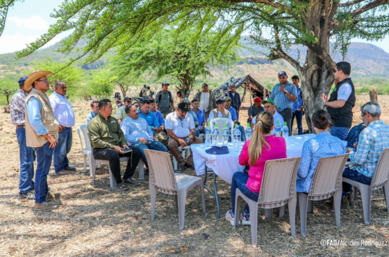Zoneamento Agrícola de Risco Climático (ZARC)