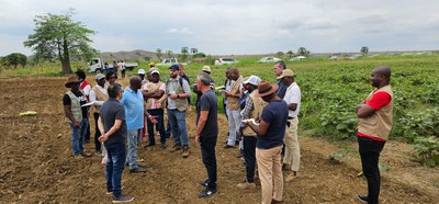 Experiência brasileira auxilia construção de política agrícola em Angola