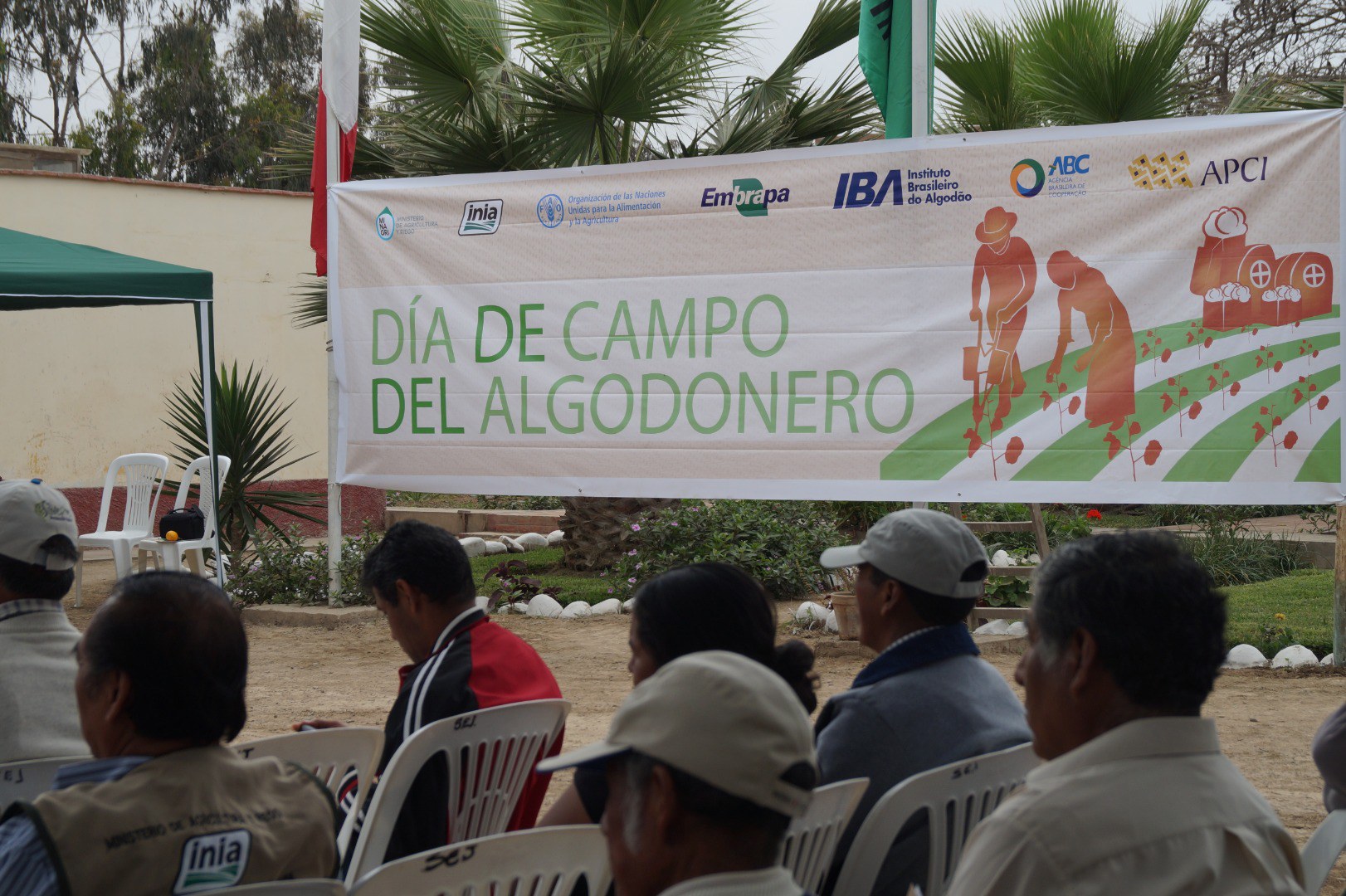 Exportação de algodão peruano é resultado do projeto de cooperação com o Brasil 3.JPEG