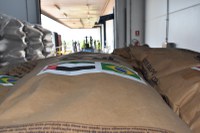 Anunciada Iniciativa Conjunta entre Emirados Árabes Unidos, Brasil e Cuba para ampliação da Segurança Alimentar