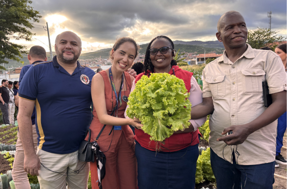 Delegações de cinco países africanos visitam Pernambuco para conhecer experiências brasileiras em al