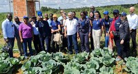 Governo do Congo visita agricultores familiares no DF