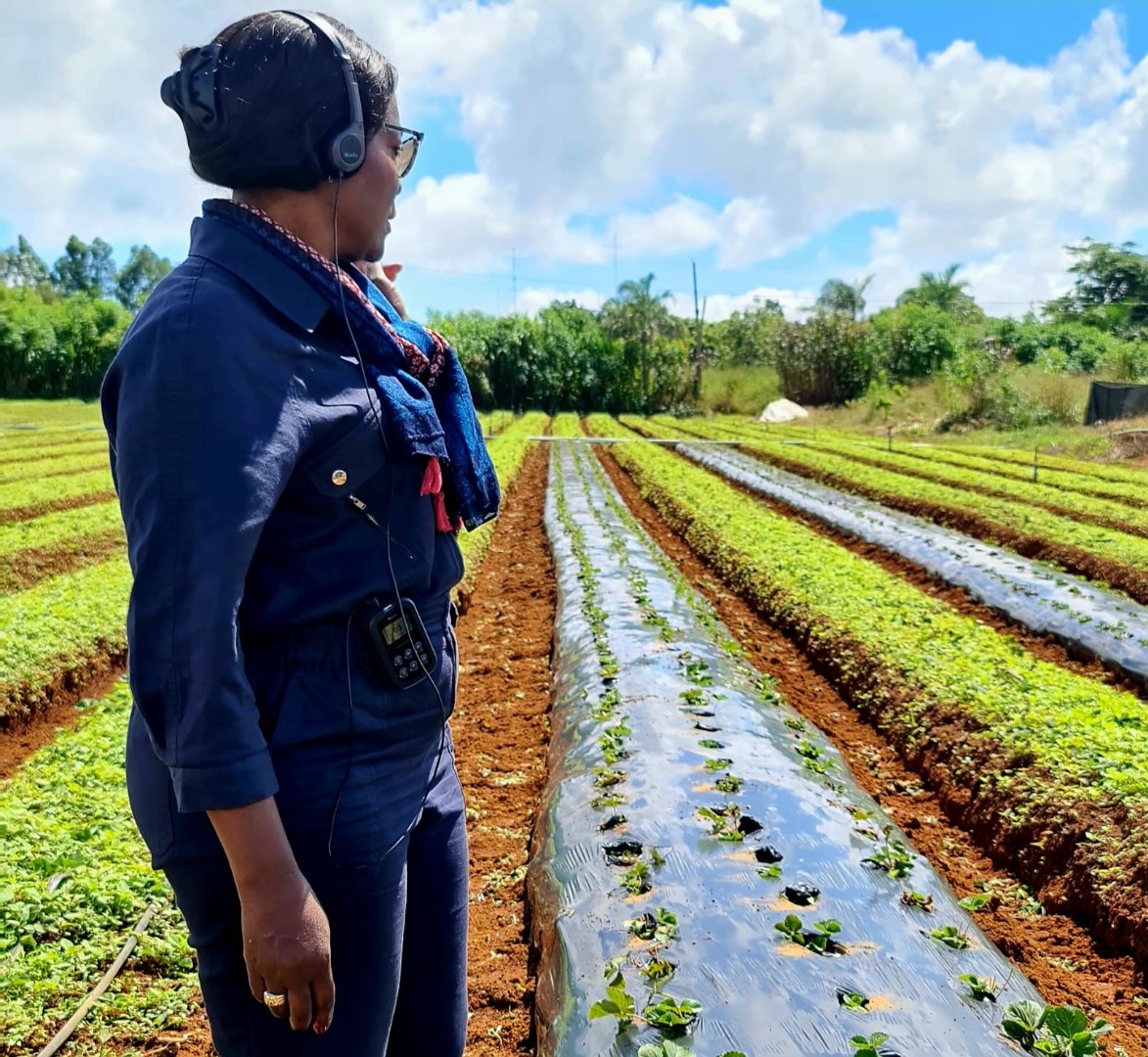 WhatsApp Image 2023-04-12 at 17.38.08 (1).jpeg