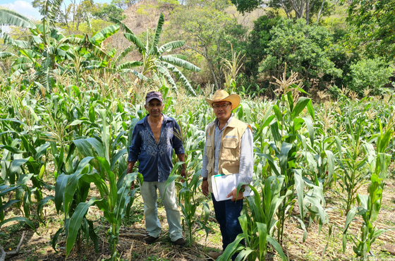Honduras avança na resiliência climática com apoio do Brasil e da FAO em projeto de Zoneamento Agrícola 2.png