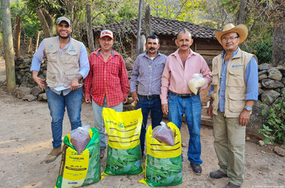 Honduras avança na resiliência climática com apoio do Brasil e da FAO em projeto de Zoneamento Agrícola.png