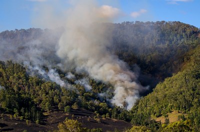 Incêndios florestais: Brasil envia ajuda humanitária ao Equador