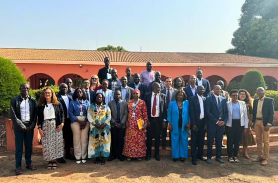 Inovação e capacitação novo impulso para o censo digital da Guiné Bissau.png