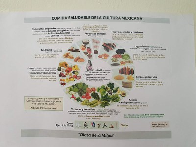 Intercâmbio para combate à obesidade continua entre México e Brasil 7 - Copia.JPEG