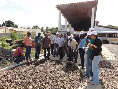 IV Curso Internacional em Produção, Pós-Colheita e Processamento Industrial do Cajú 3.JPEG