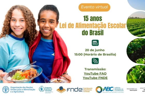 Lei de alimentação escolar do Brasil: 15 anos