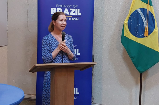 Embaixadora Luiza Lopes da Silva