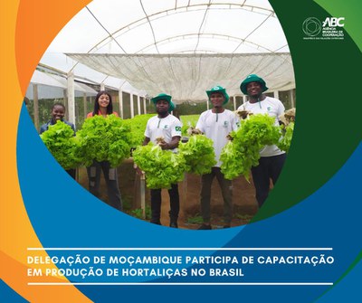 Horta Comunitaria_01.jpg