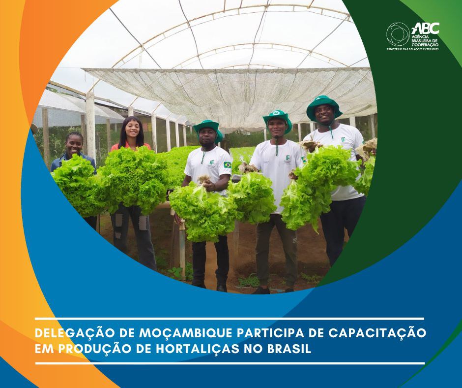 Horta Comunitaria_01.jpg